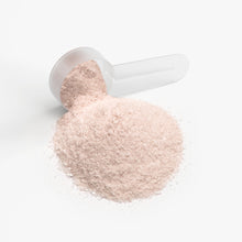 Load image into Gallery viewer, Champion Hydrate - Hydration Powder (Peach Mango)